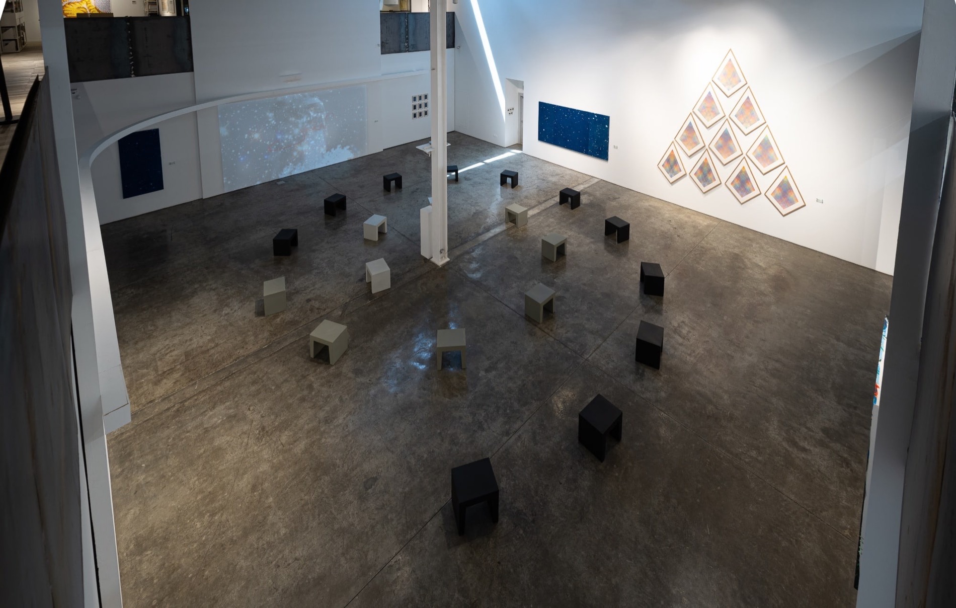 Negus immersive exhibition